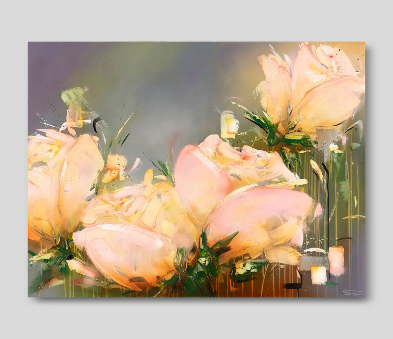 SSI ORI LAN 26441 1 Placidus 