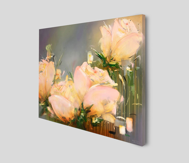 SSI ORI LAN 26441 2 Placidus 