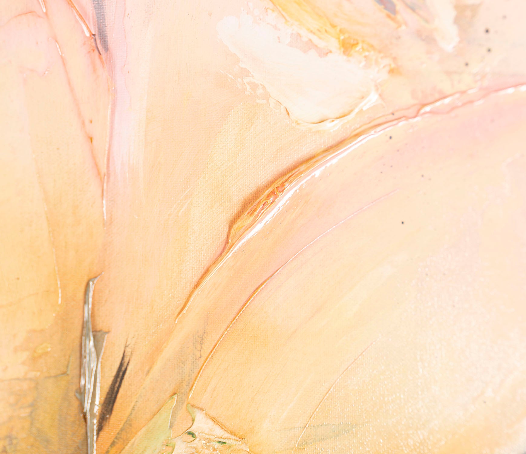 SSI ORI LAN 26441 4 Placidus 