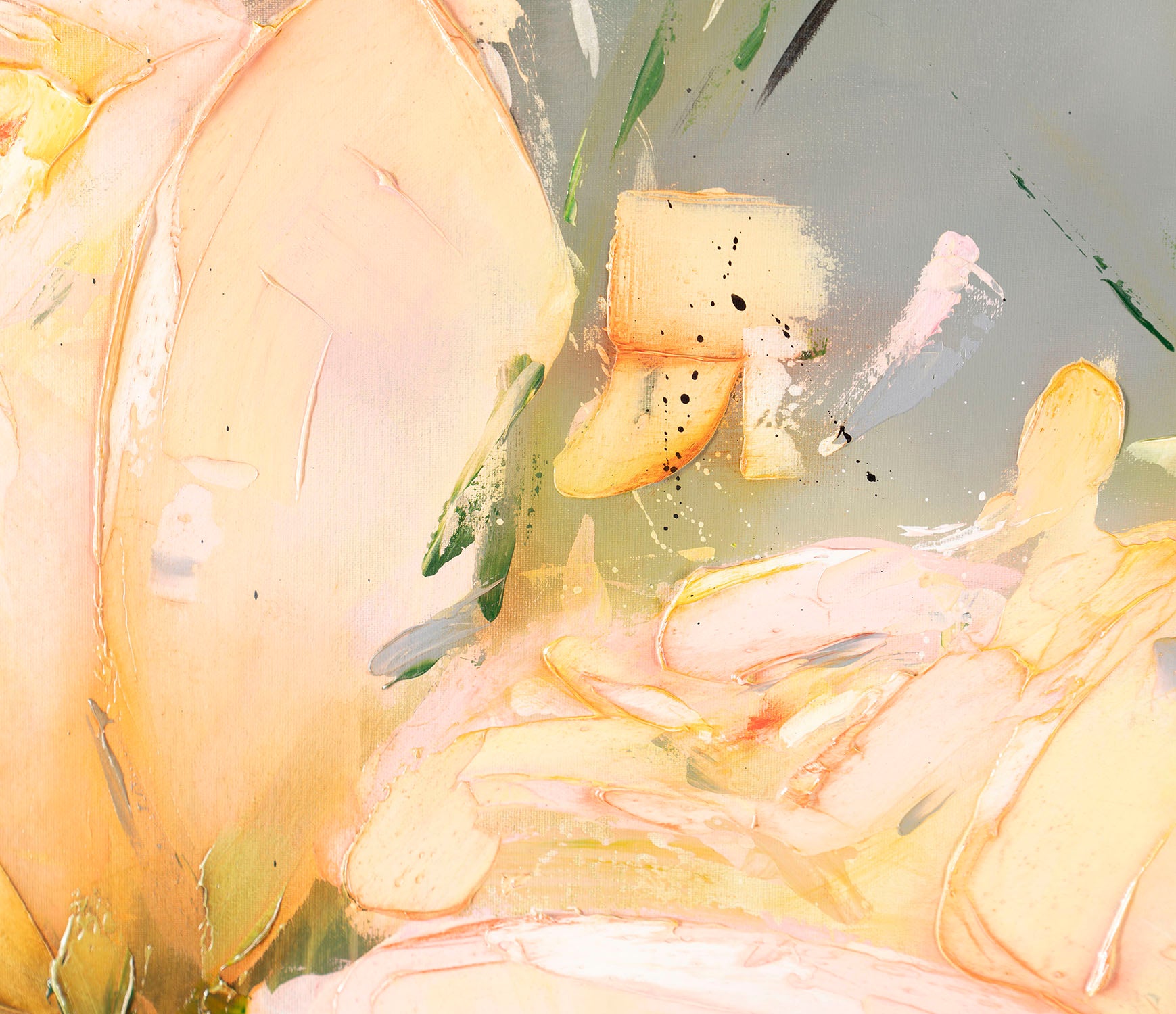 SSI ORI LAN 26441 5 Placidus 