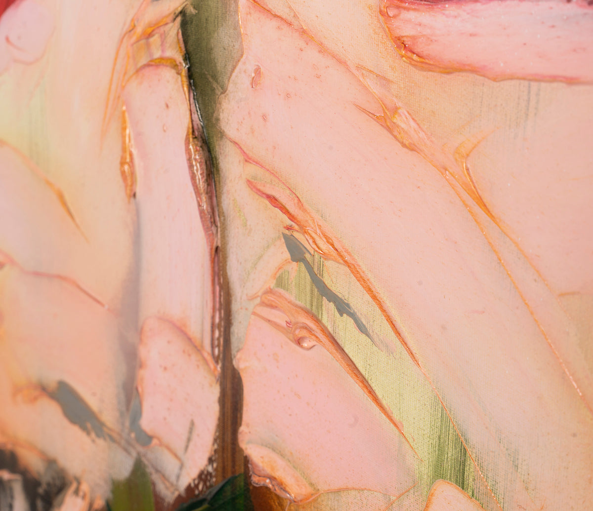 SSI ORI LAN 28097 7 Rosa Gratium II 