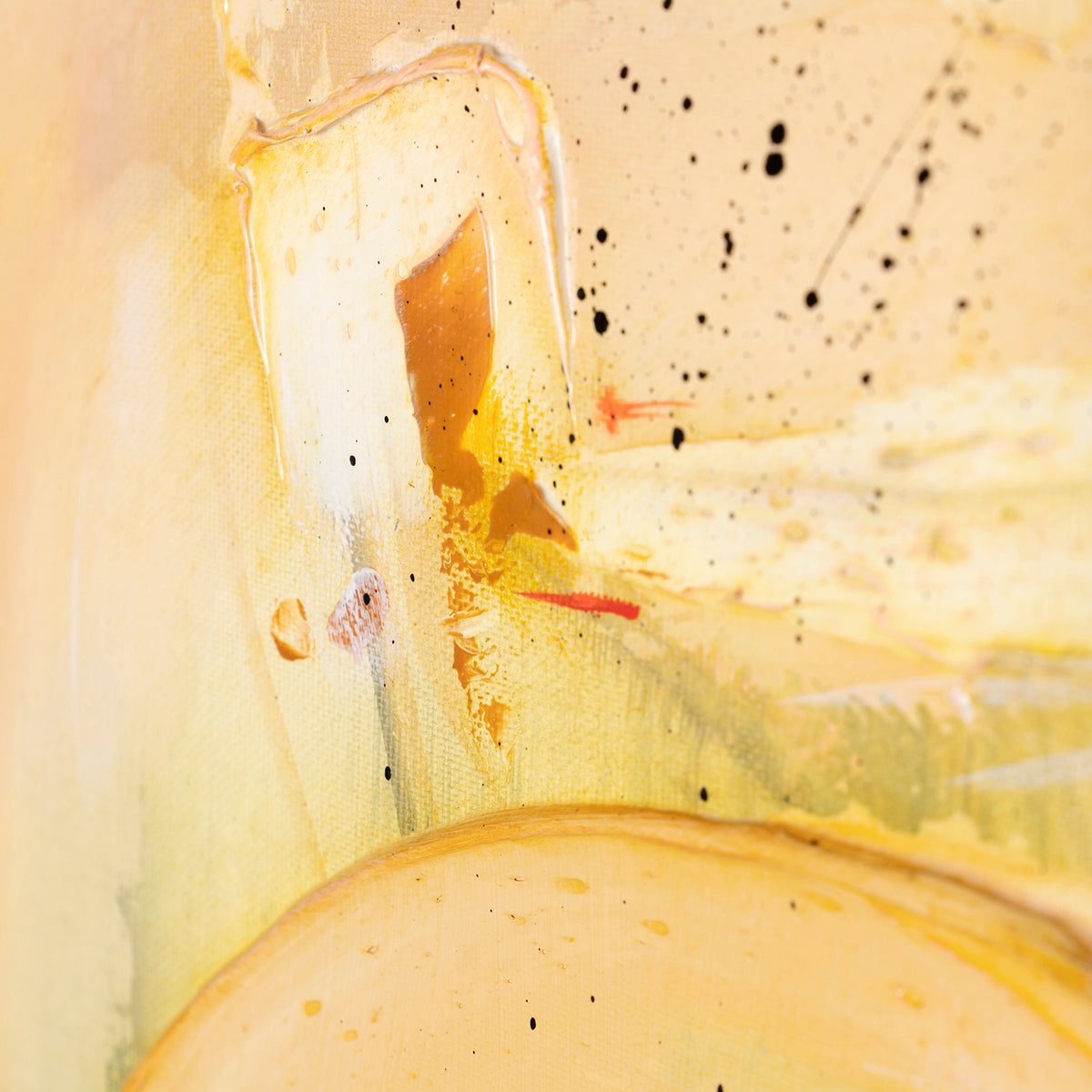 SSI ORI LAN 28462 4 Tranquillitas 