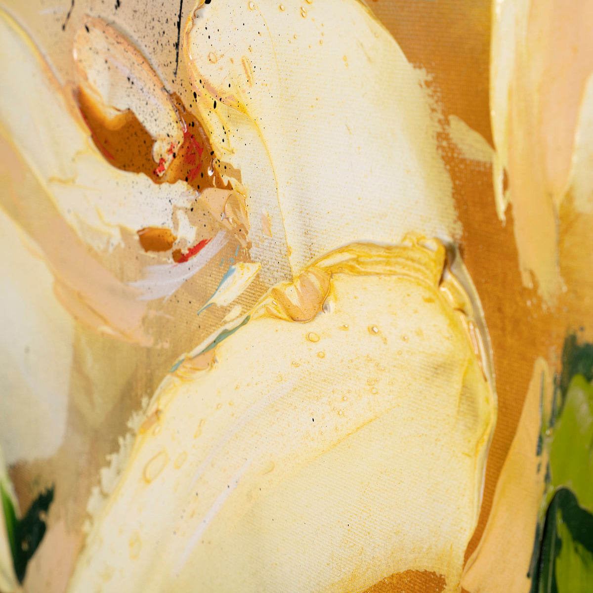 SSI ORI LAN 28463 6 Tranquillitas II 