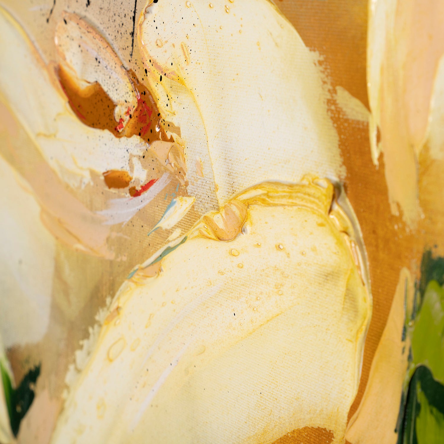 SSI ORI LAN 28463 6 Tranquillitas II 