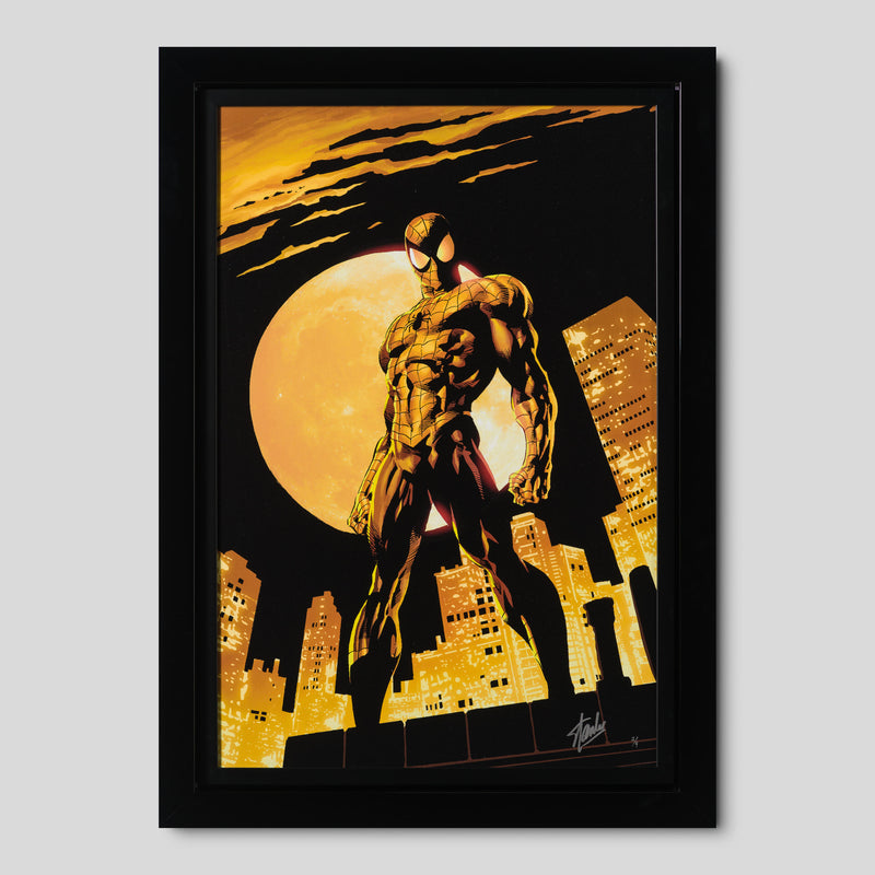 STL Amazing Spider Man #528 e4 1 