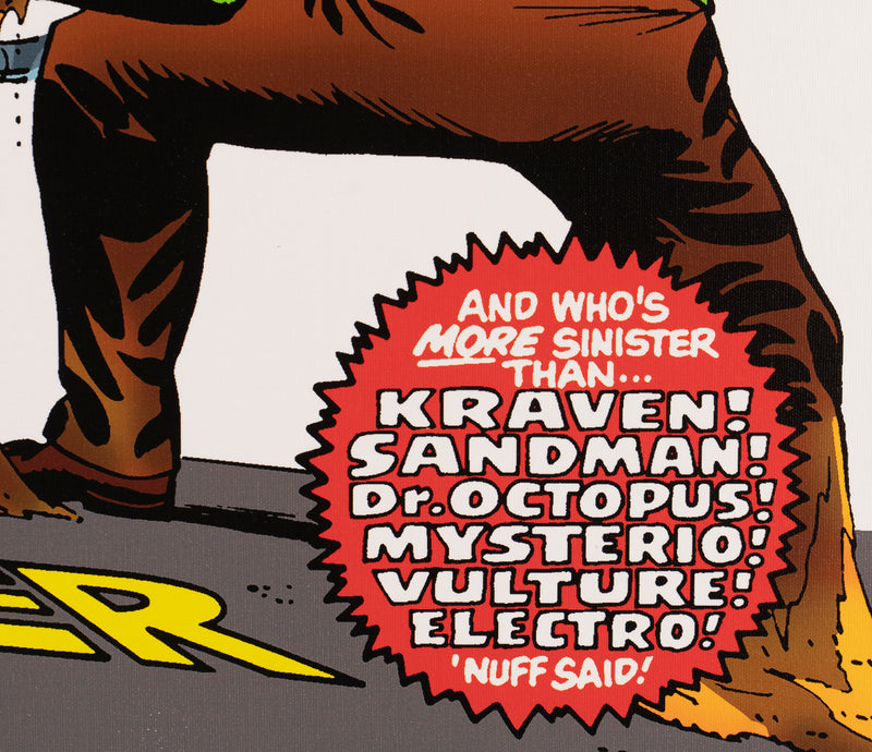 STL SLE HUM 27947 5 The Amazing Spiderman 6 