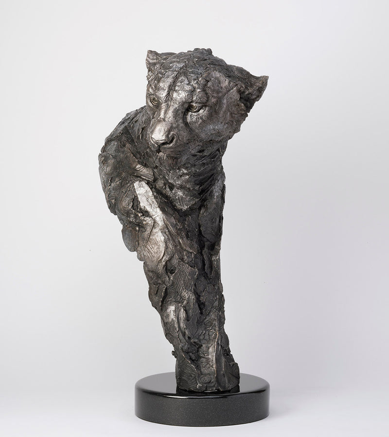 SWI ELUSIVE MASTER SC2 RGB RGB LR 