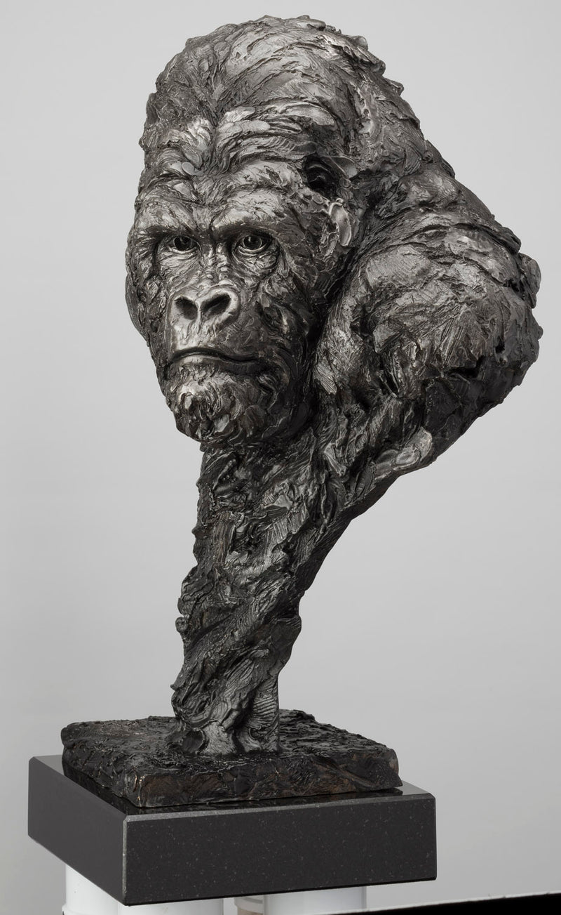 SWI Gardian (Medium)  