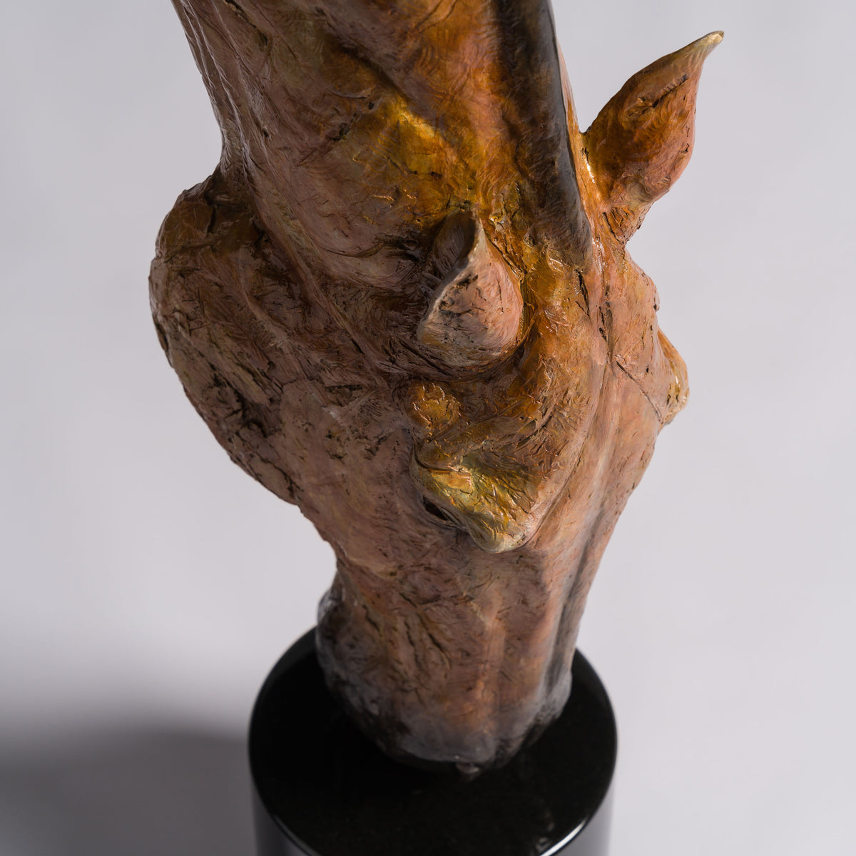 SWI Grounded Serenity   Bay 12 