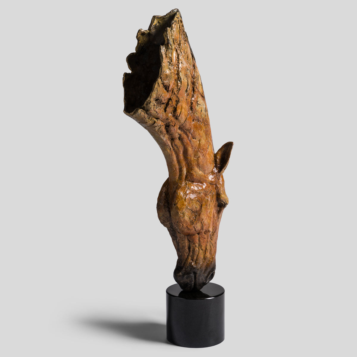 SWI Grounded Serenity   Bay 15 