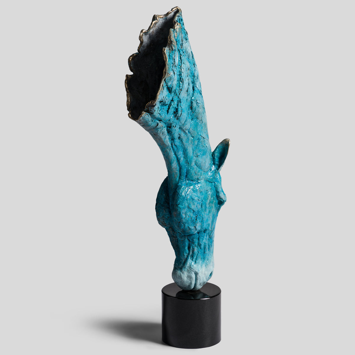 SWI Grounded Serenity   Blue Roan 12 