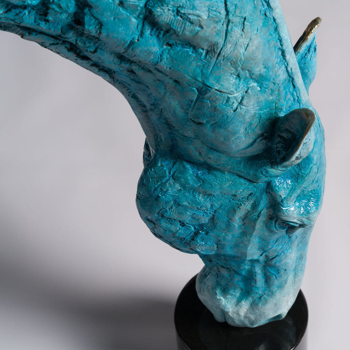 SWI Grounded Serenity   Blue Roan 19 