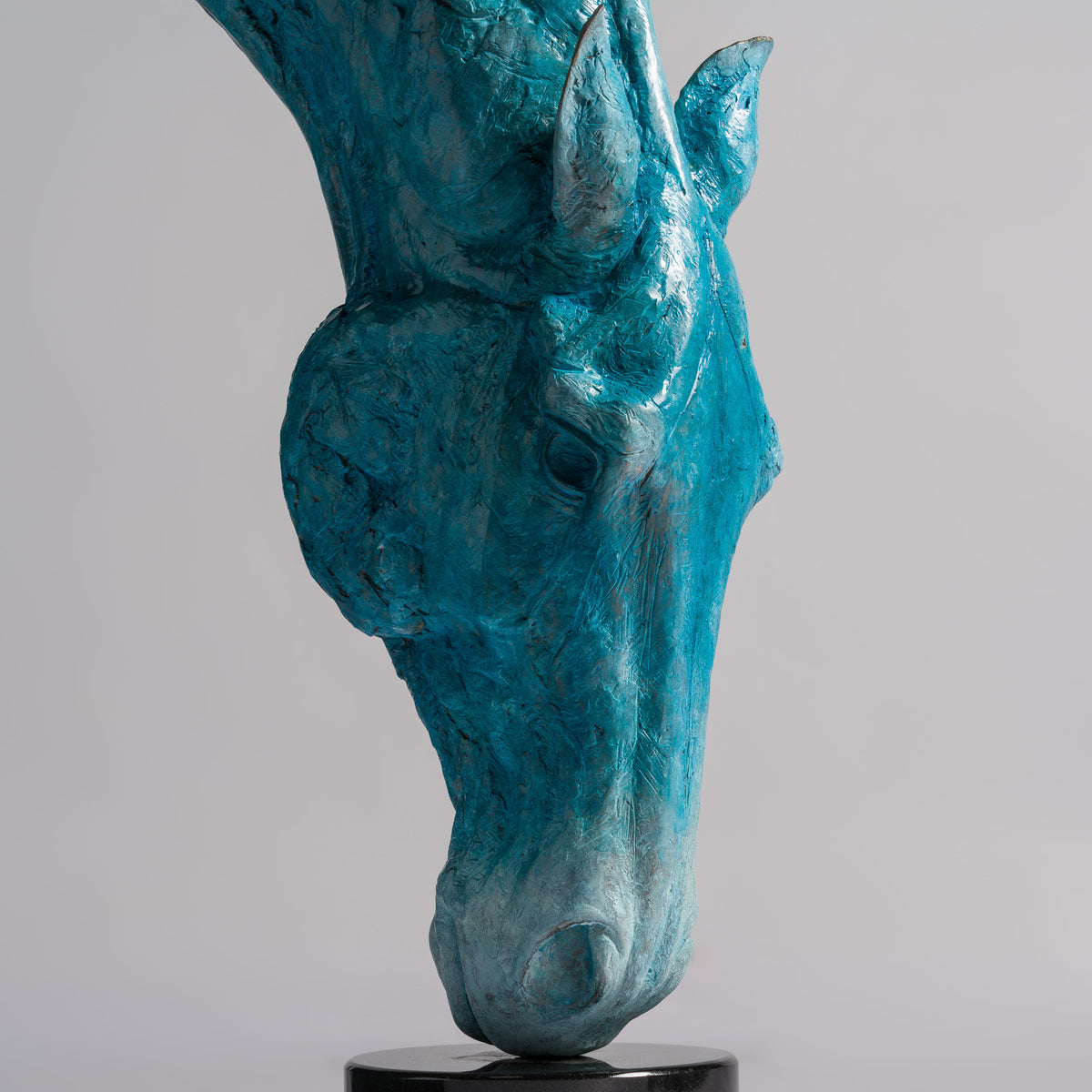 SWI Grounded Serenity   Blue Roan 21 