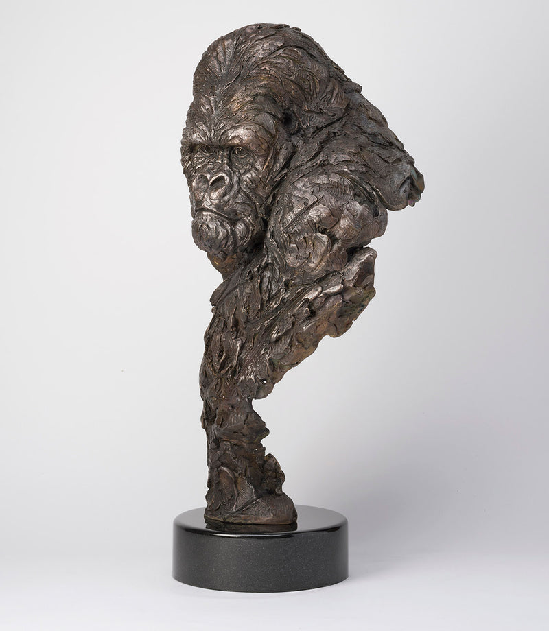 SWI GUARDIAN SC3 RGB RGB LR 