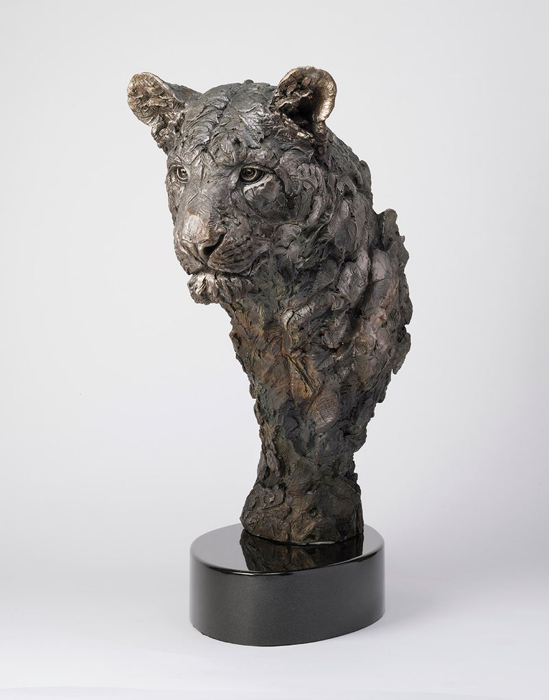 SWI LIKE THE WIND SC2 RGB RGB LR 