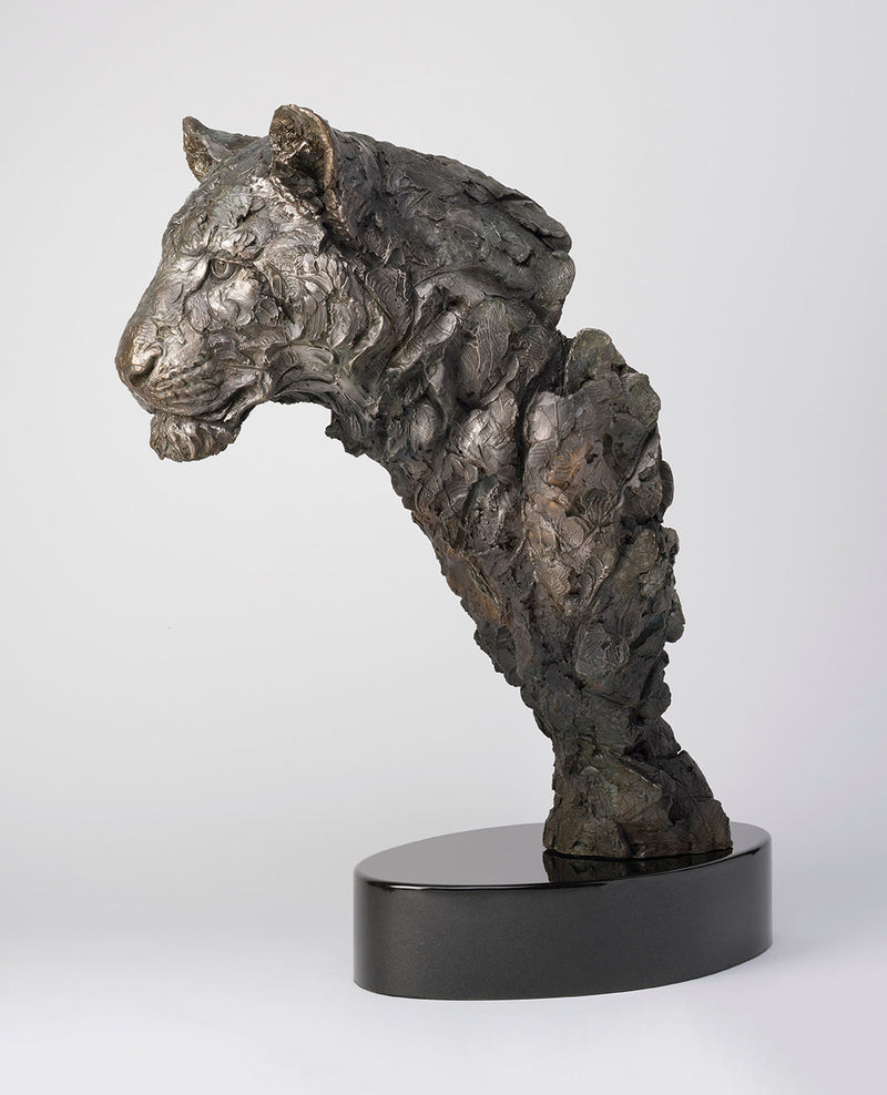 SWI LIKE THE WIND SC3 RGB RGB LR 