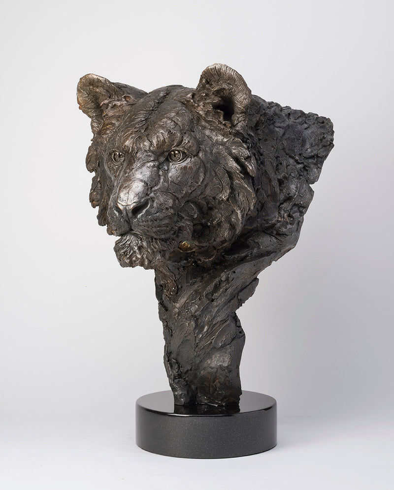 SWI SACRED SOUL SC2 RGB RGB LR 