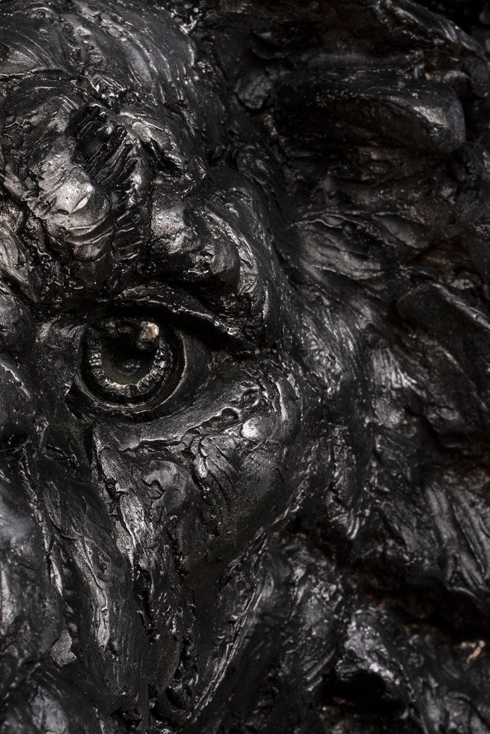 SWI SCU WWL 24315 2 King of the Plains (Lion) 