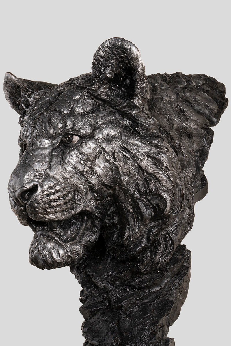 SWI SCU WWL 24317 3 Intensity (Tiger) grey 