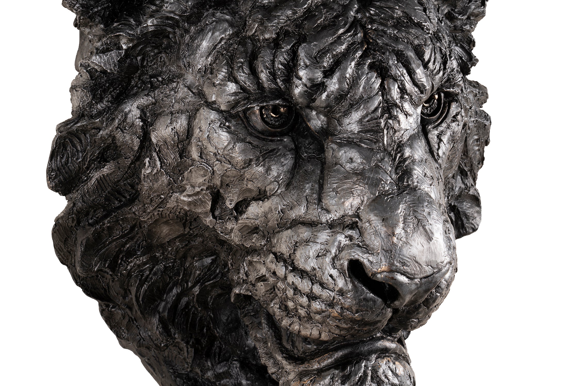 SWI SCU WWL 24317 5 Intensity (Tiger) 