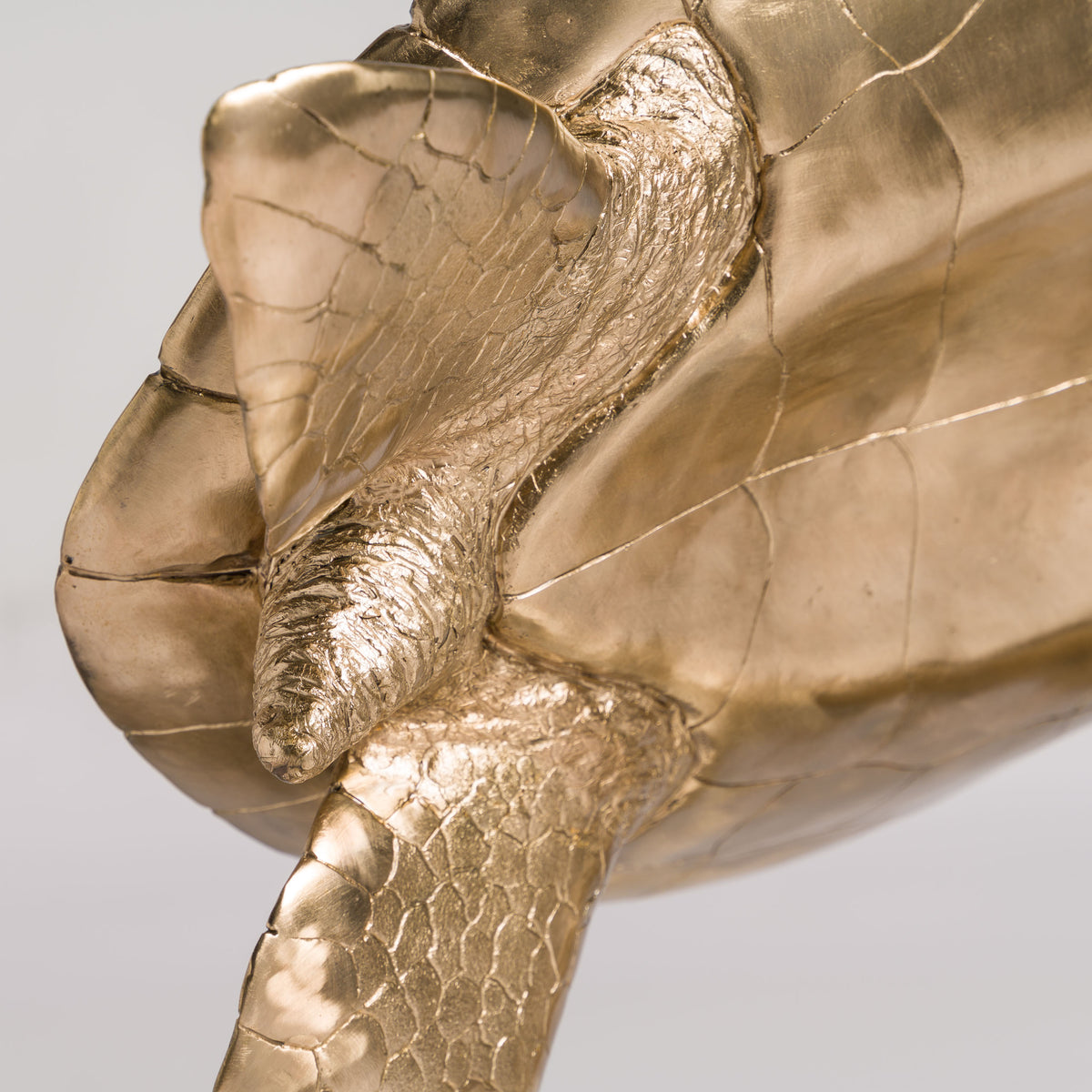 SWI SCU WWL 33636 Wisdom (Turtle) 10 