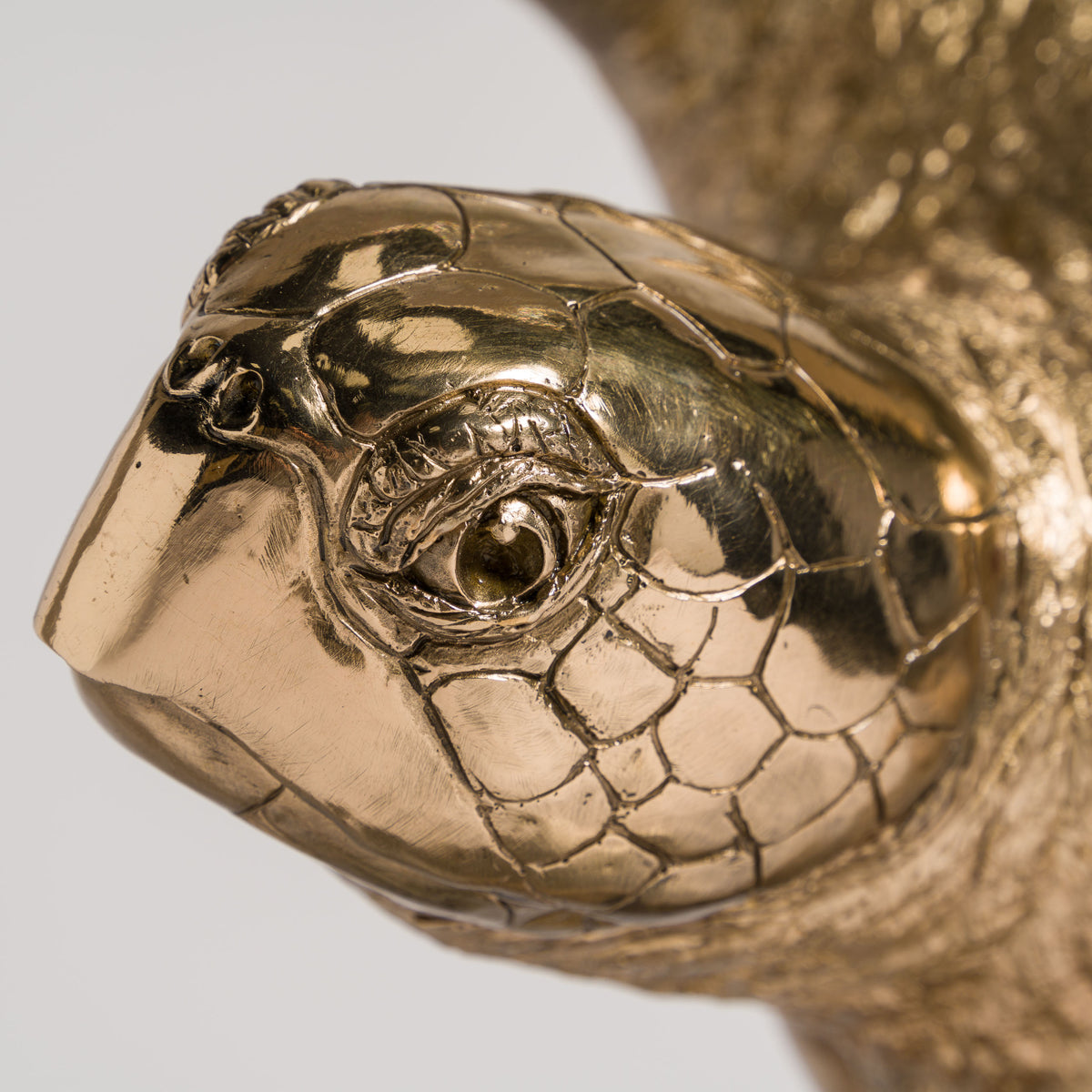 SWI SCU WWL 33636 Wisdom (Turtle) 7 