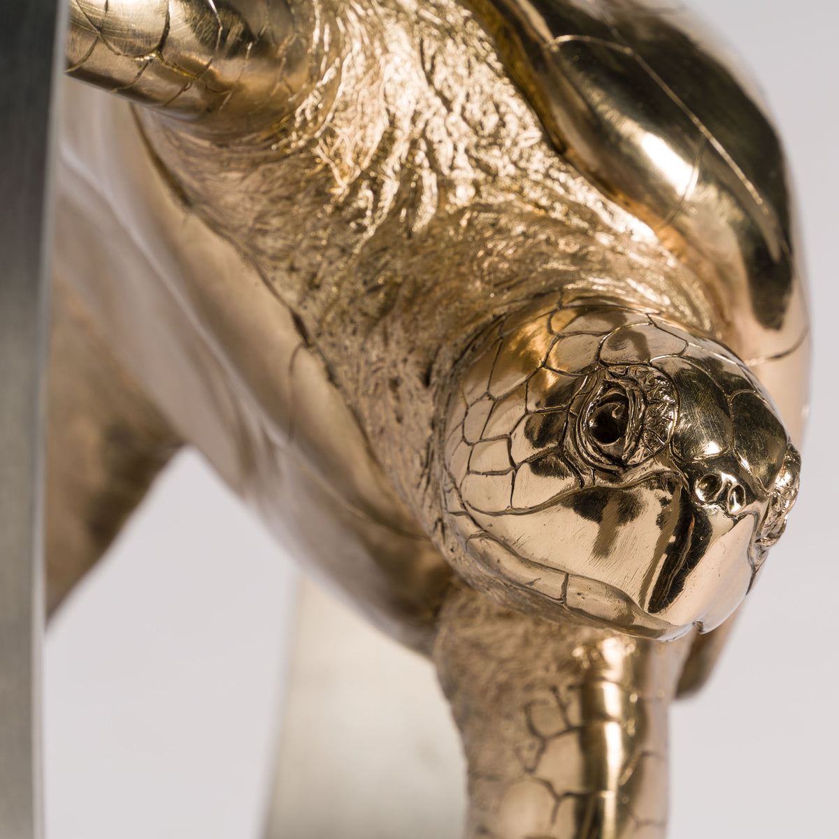 SWI SCU WWL 33636 Wisdom (Turtle) 9 