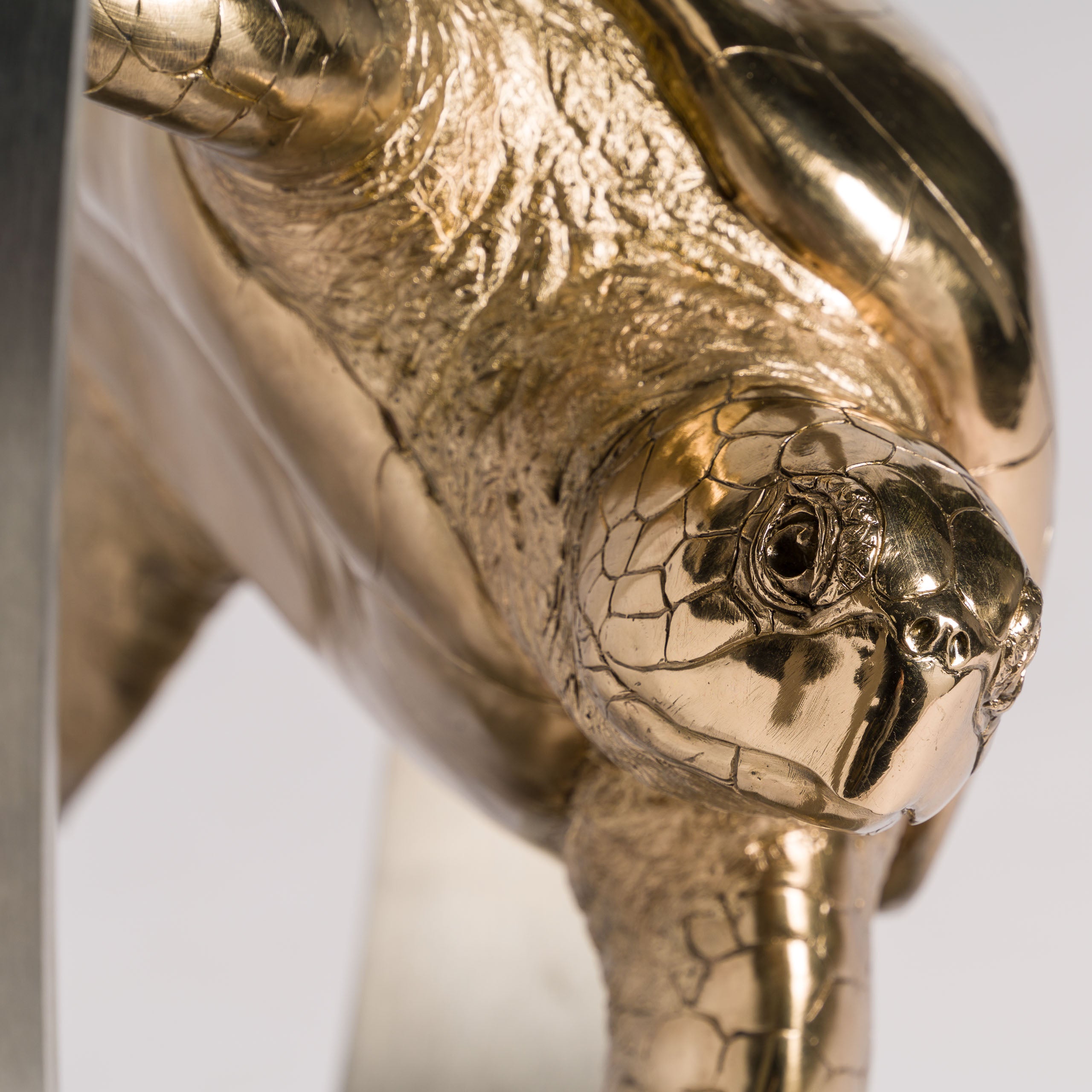 SWI SCU WWL 33636 Wisdom (Turtle) 9 