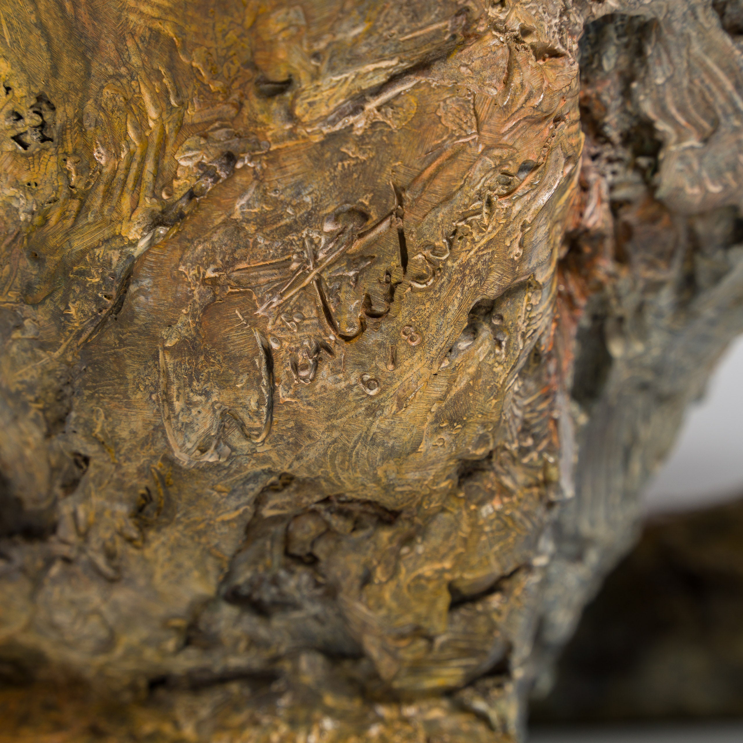 Product image 1 for steve-winterburn-waiting-for-spring