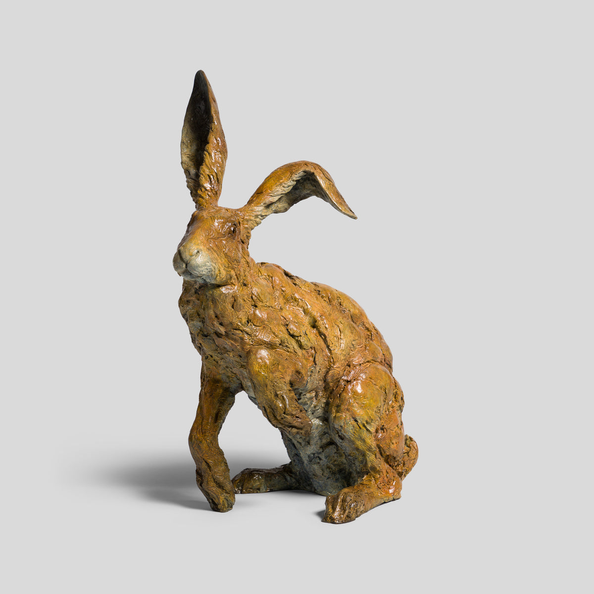 SWI SCU WWL 33647 Waiting for Spring 1 