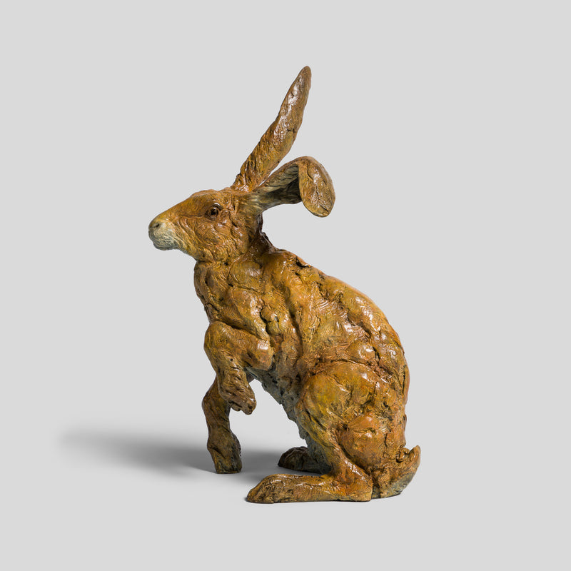 SWI SCU WWL 33647 Waiting for Spring 2 