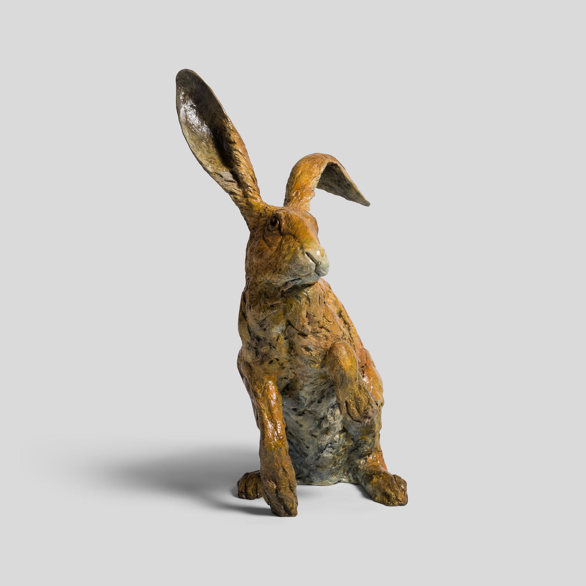 SWI SCU WWL 33647 Waiting for Spring 4 