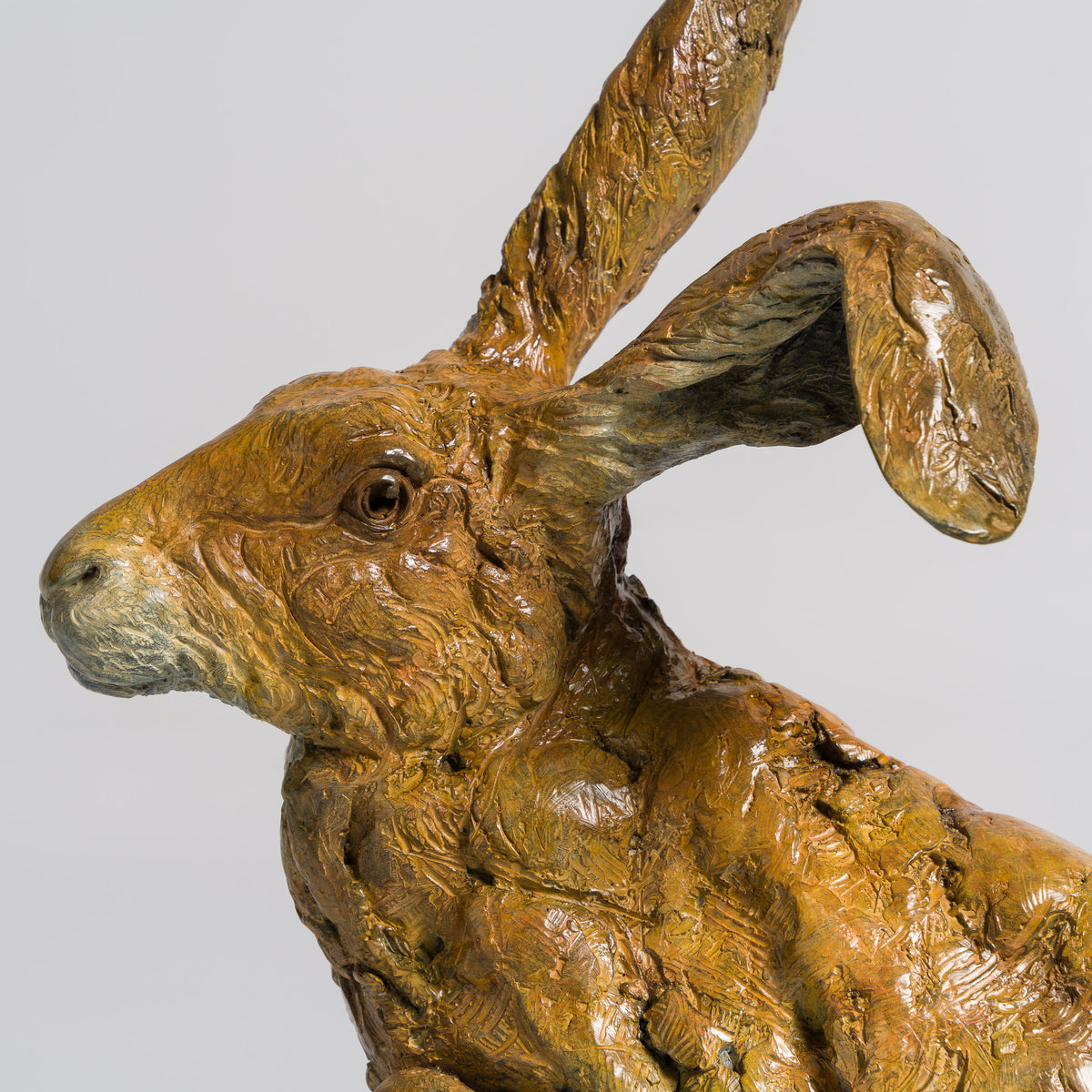 Product image 2 for steve-winterburn-waiting-for-spring