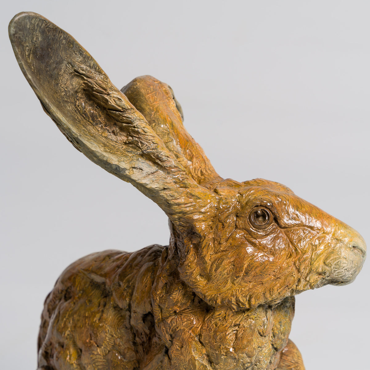 SWI SCU WWL 33647 Waiting for Spring 9 