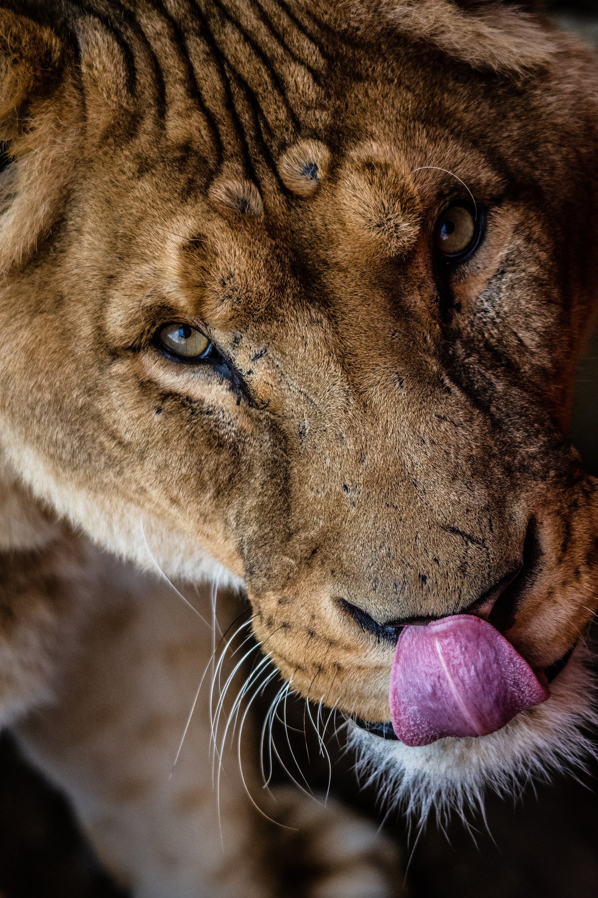 That Look You Gave Me   Original 