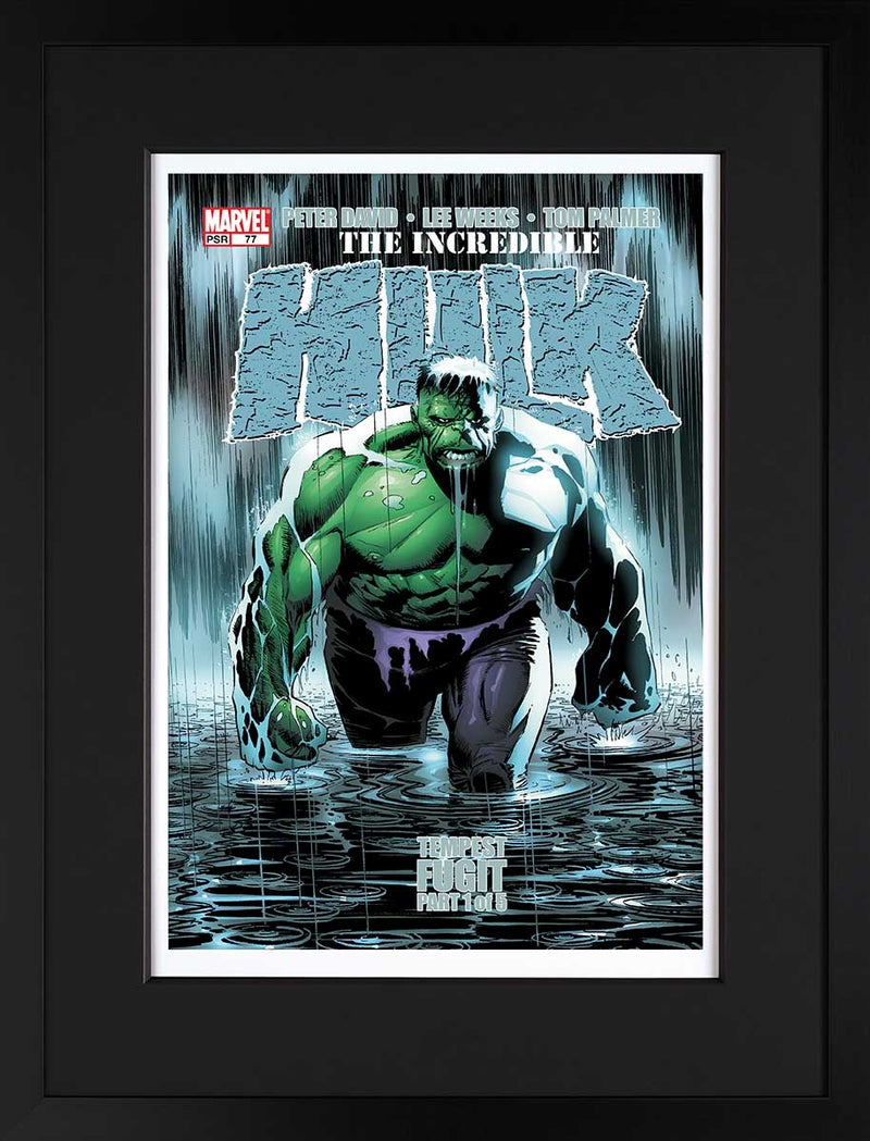The Incredible Hulk 77   Tempest Fugit GICLEE FR