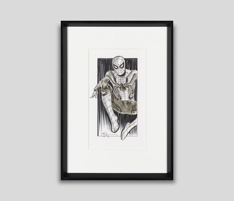 TRO ORI SKT 17899 1 Spider Man II 