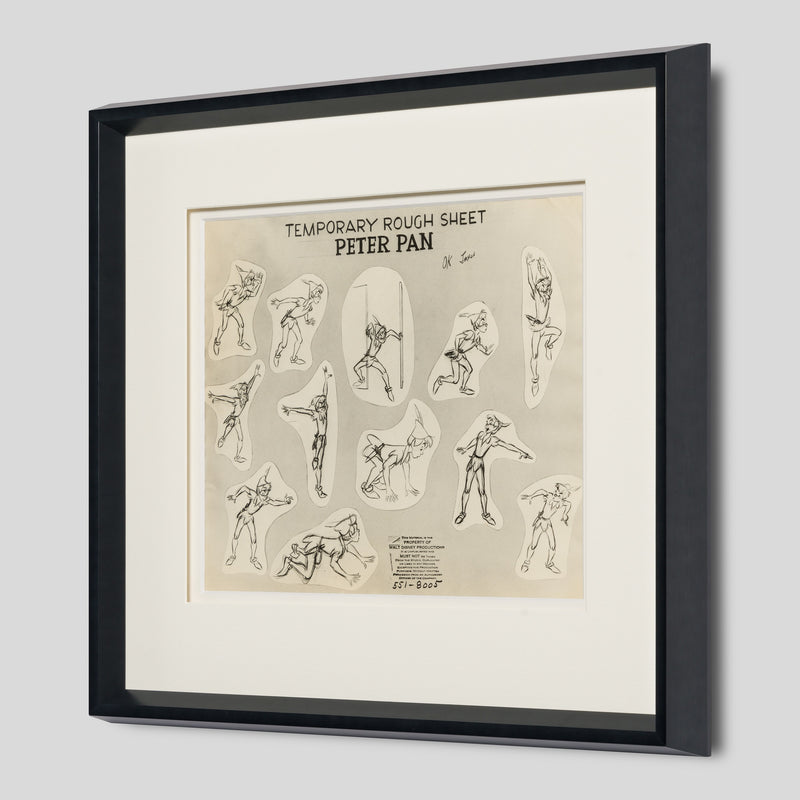 VIN ORI POR 27401 2 Peter Pan (2) Model Sheet 