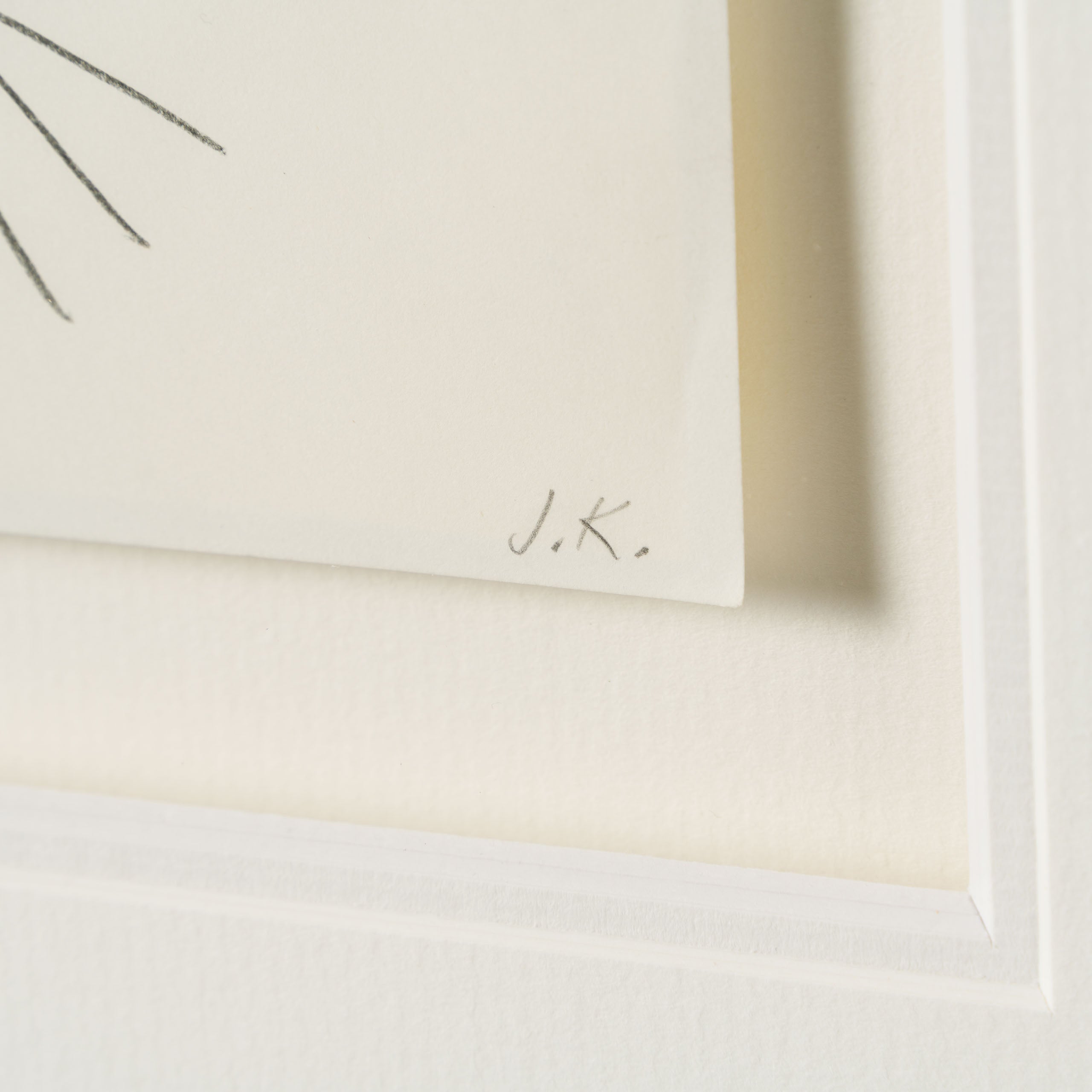 VIN ORI POR 27423 Scar (1) Storyboard 3 