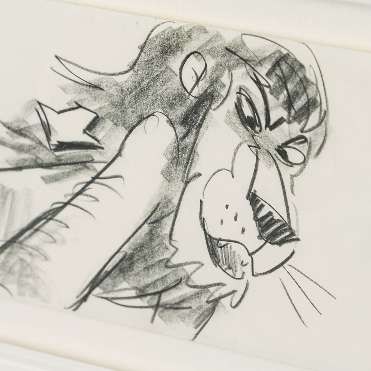 VIN ORI POR 27423 Scar (1) Storyboard 5 