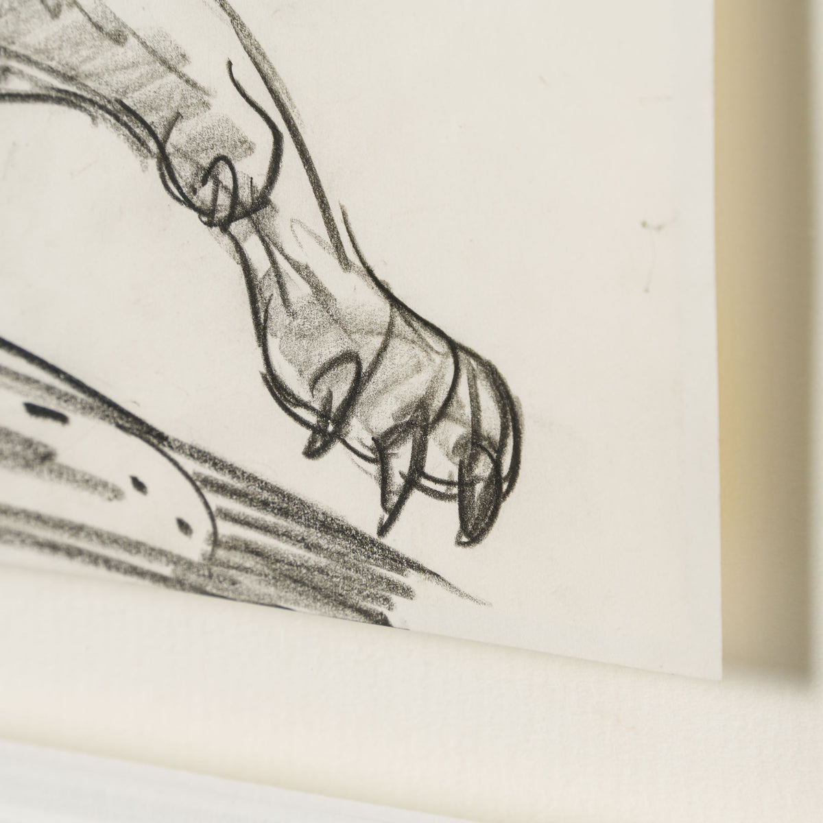 VIN ORI POR 27425 Scar (3) Storyboard 3 