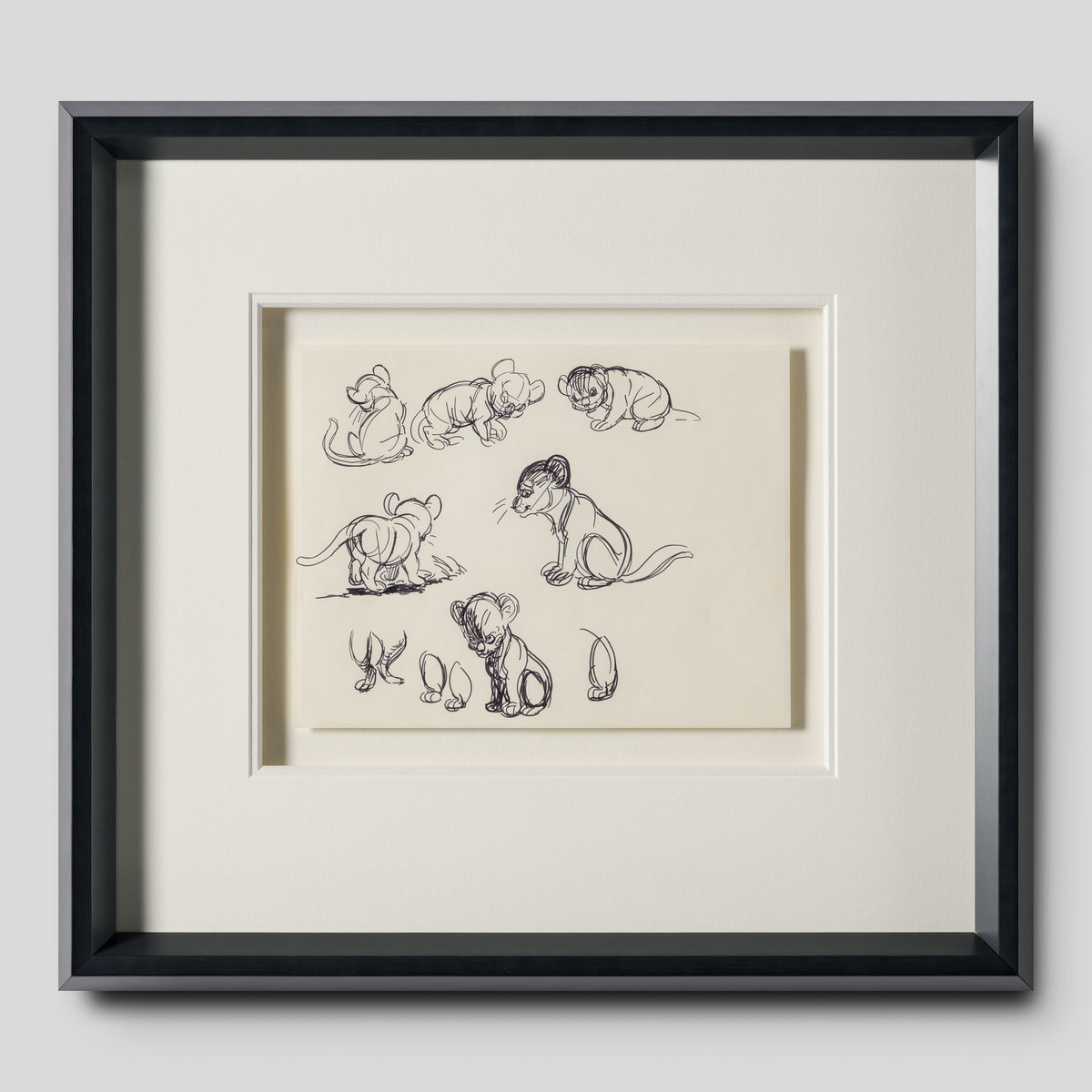 VIN ORI POR 27546 1 Simba (1) Storyboard 