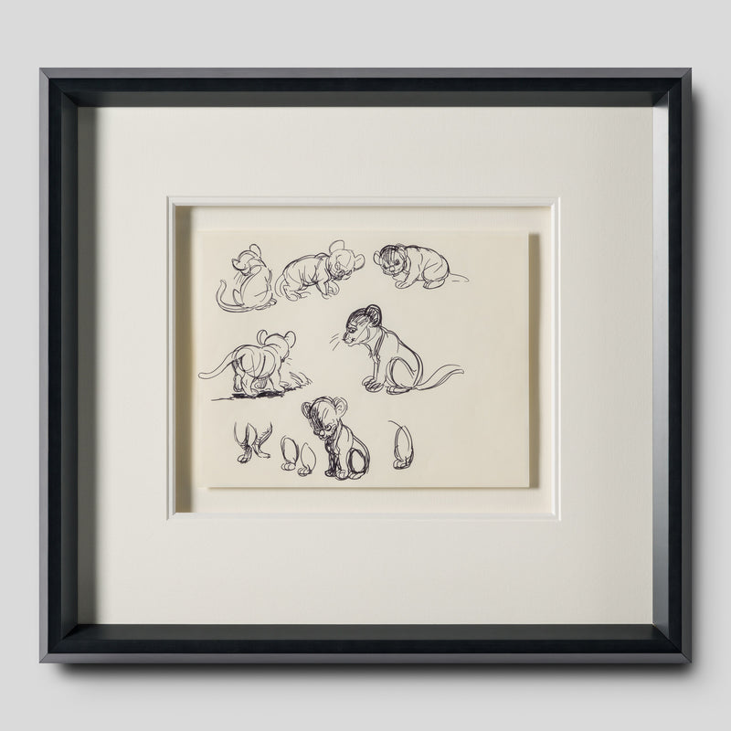 VIN ORI POR 27546 1 Simba (1) Storyboard 