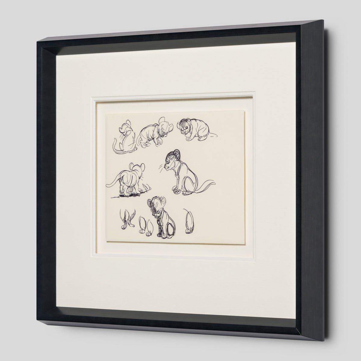 VIN ORI POR 27546 2 Simba (1) Storyboard 