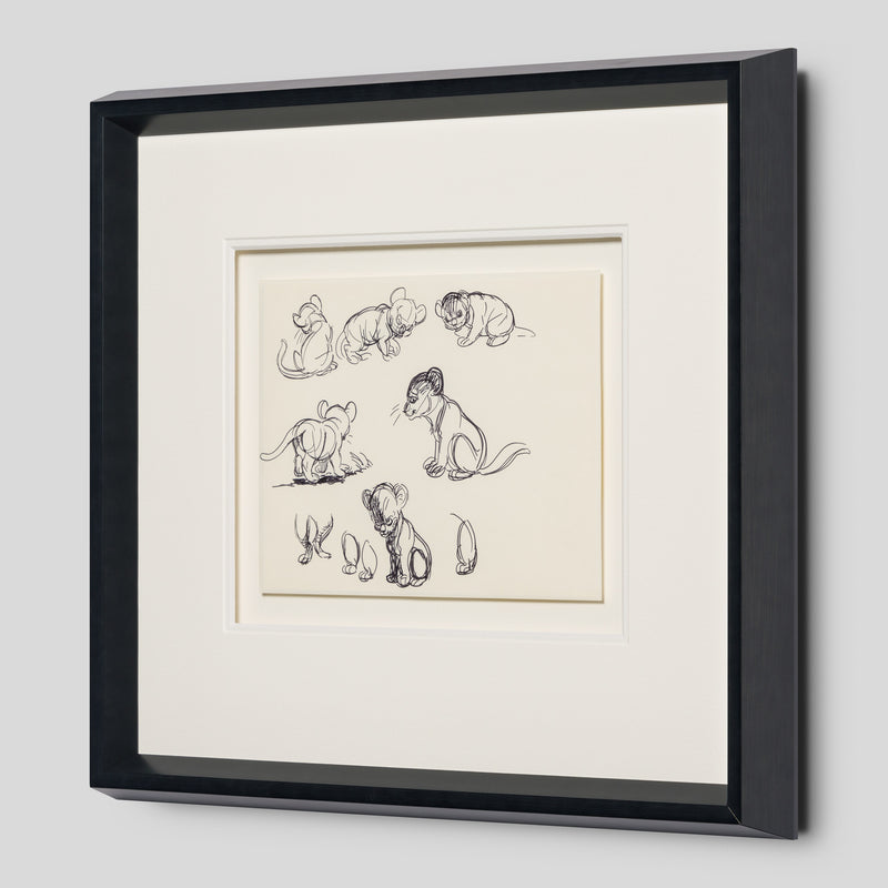 VIN ORI POR 27546 2 Simba (1) Storyboard 