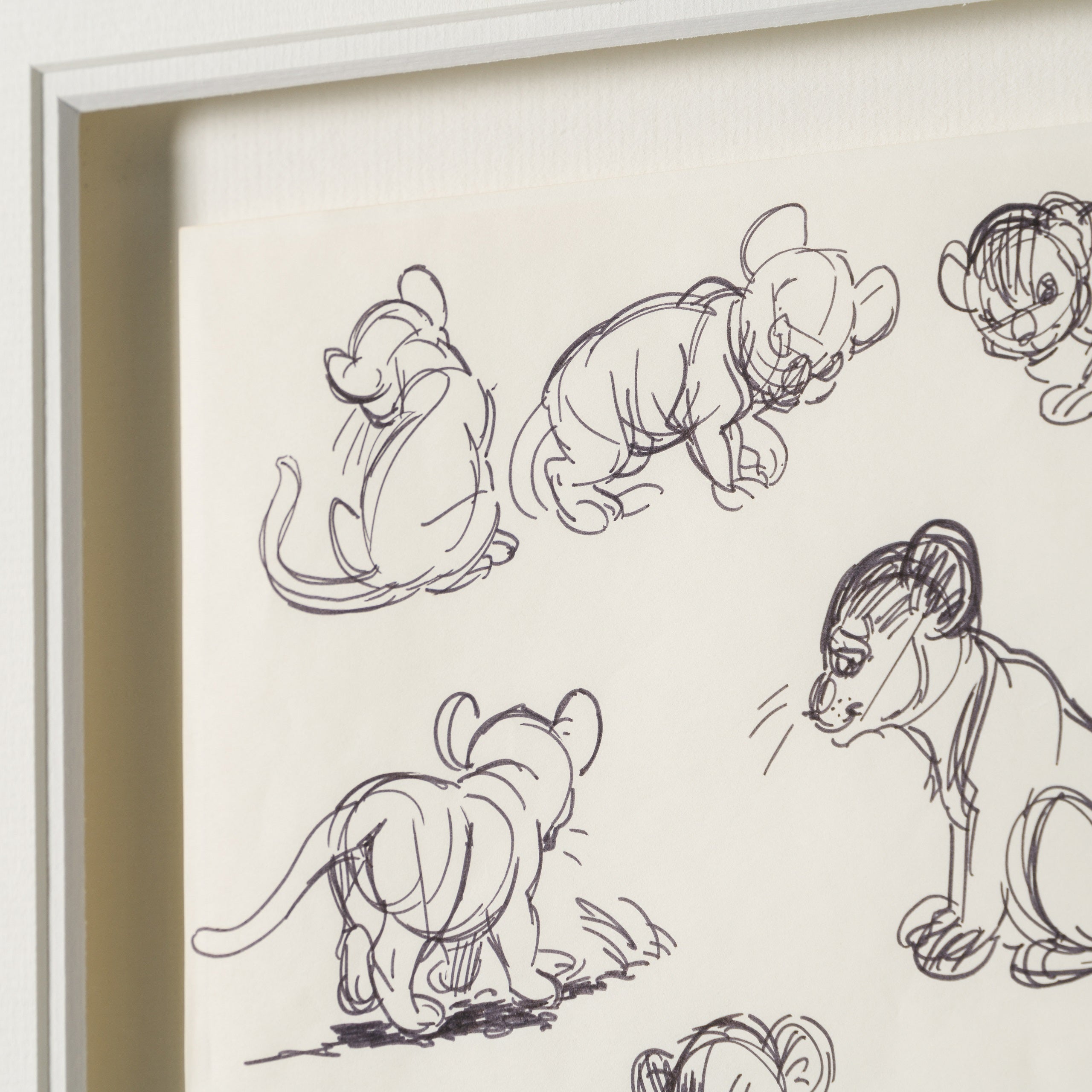 VIN ORI POR 27546 6 Simba (1) Storyboard 