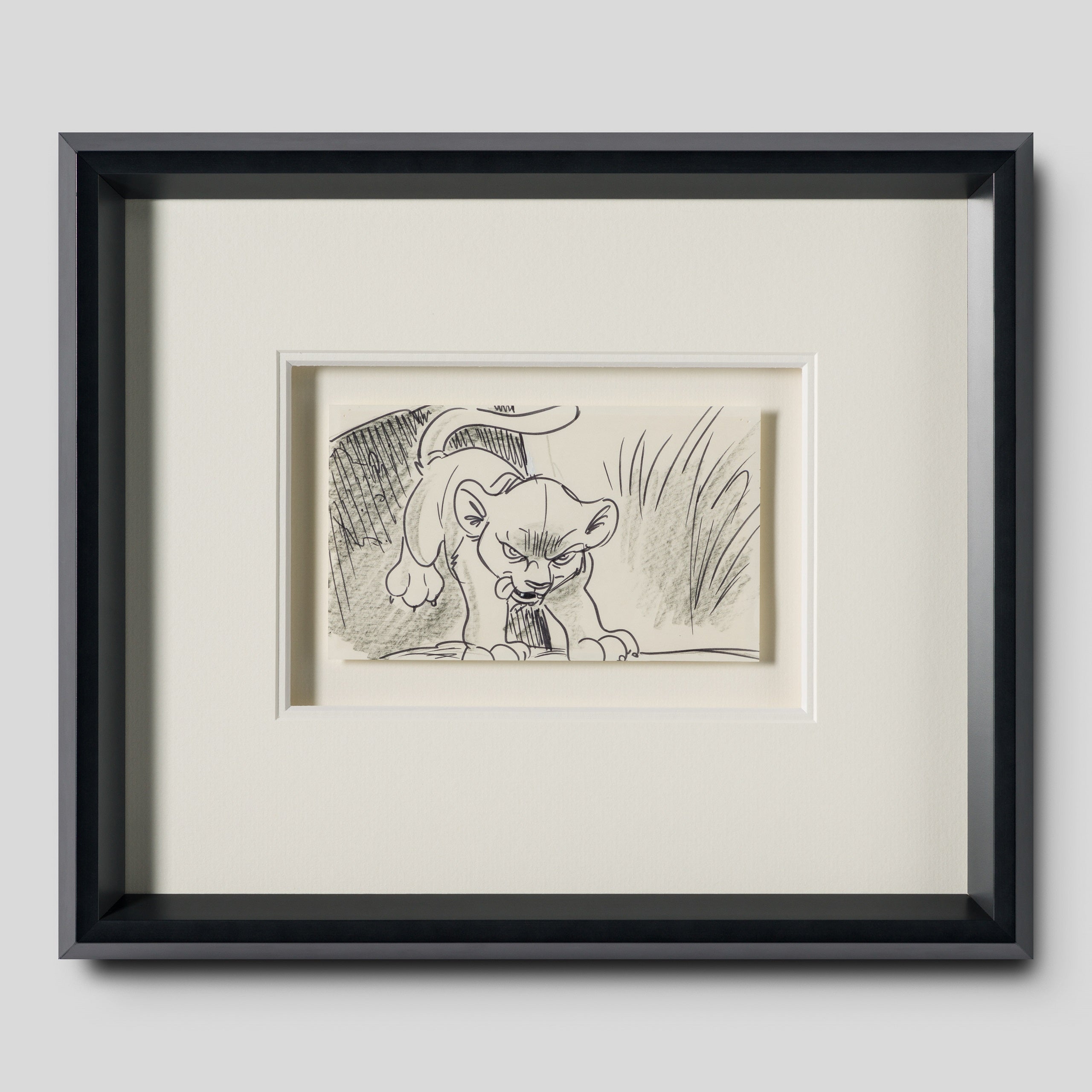 VIN ORI POR 27547 1 Simba (2) Storyboard 