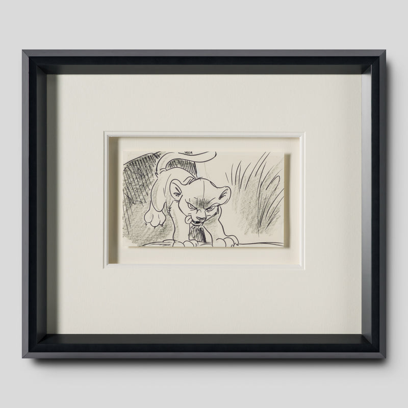 VIN ORI POR 27547 1 Simba (2) Storyboard 