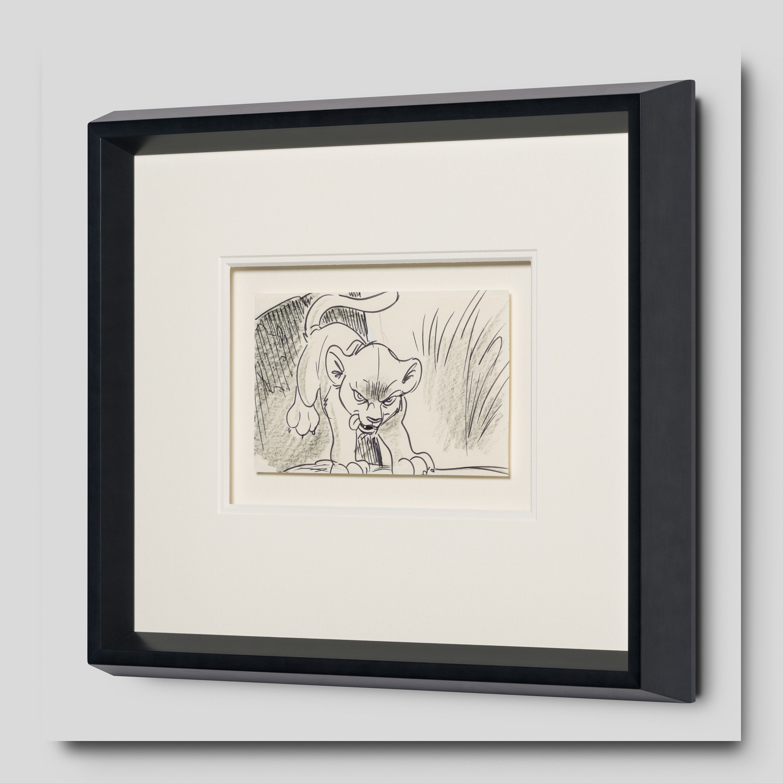 VIN ORI POR 27547 2 Simba (2) Storyboard 