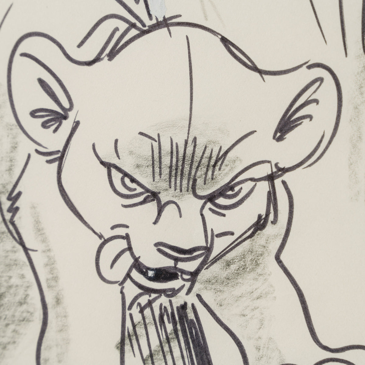 VIN ORI POR 27547 3 Simba (2) Storyboard 